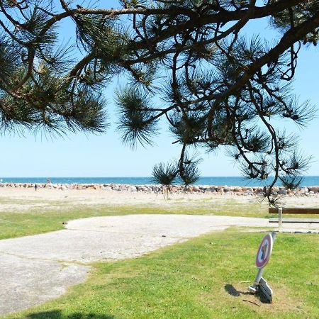 Appartement Cosy Avec Mezzanine, 6 Couchages, A 500M De La Mer - St Cyprien - Fr-1-225D-168 Saint-Cyprien  Exteriör bild